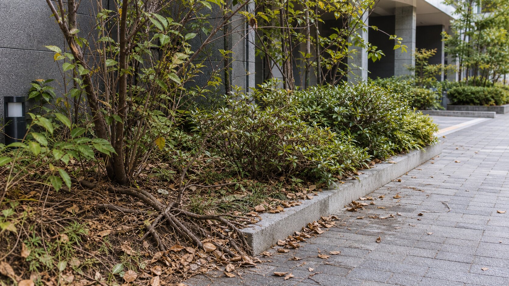 植栽管理と景観改善イメージ